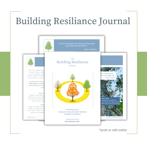 Buidling Resilience Inner Mastery