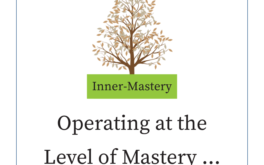 Operating at the Level ofMastery in Divisive Times